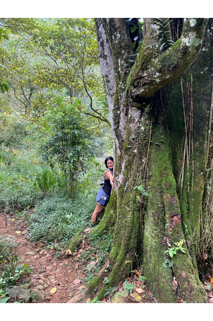 Trekker smiling and embracing a massive moss-covered ancient rainforest tree along a Knuckles nature trail