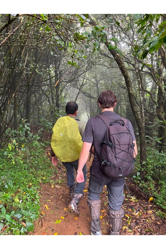 Backpackers with trekking gear actively hiking along a narrow misty trail through the dense Knuckles cloud forest