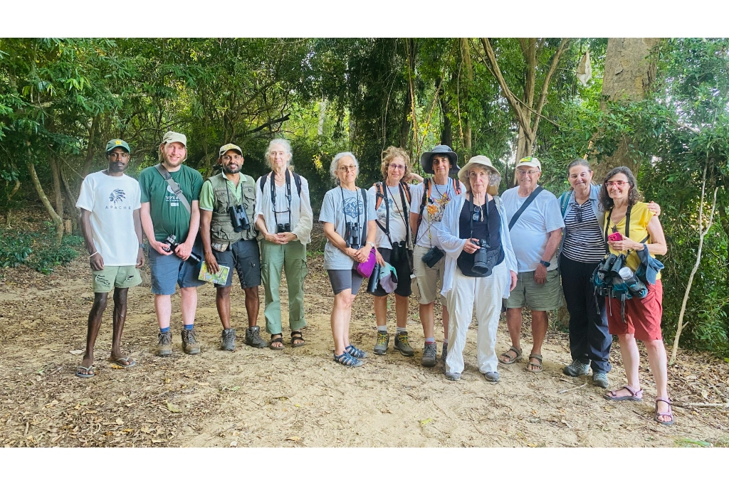 Guided nature trekking group with binoculars exploring under towering rainforest canopy trees along a shaded jungle path