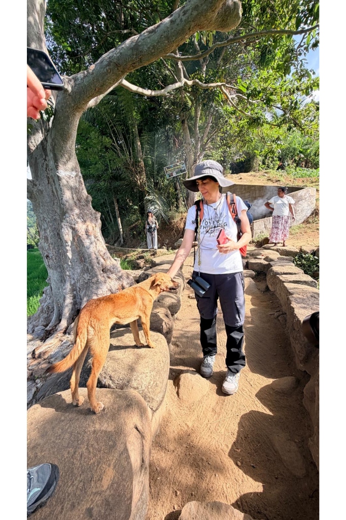 Trekker connecting with a friendly village dog along a traditional stone pathway in a rural Knuckles mountain village